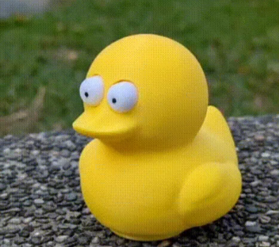 Pato de olhos esbugalhados fidget toy